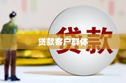 大堂贷款客户群体
