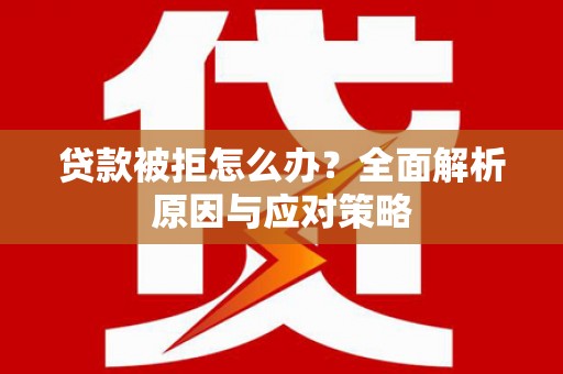 大堂贷款被拒怎么办？全面解析原因与应对策略