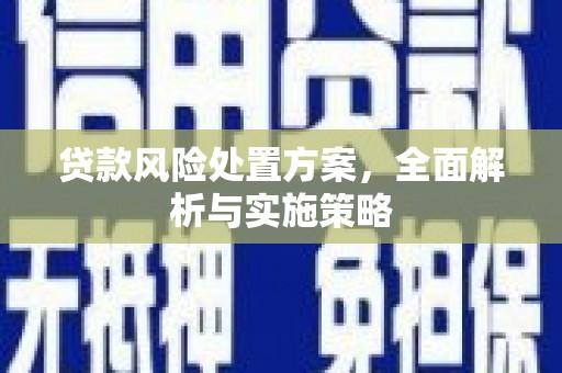 大堂贷款风险处置方案，全面解析与实施策略