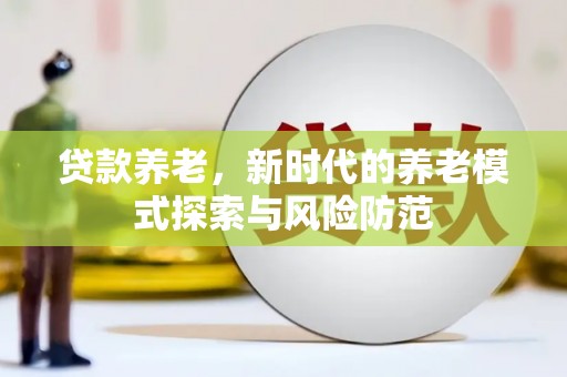 大堂贷款养老，新时代的养老模式探索与风险防范