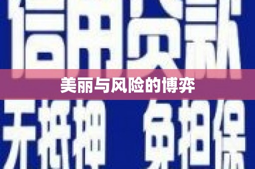 大堂美丽与风险的博弈