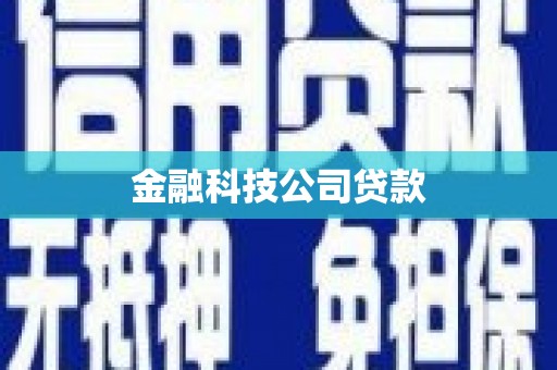 大堂金融科技公司贷款