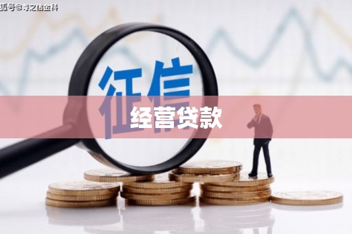 大堂经营贷款