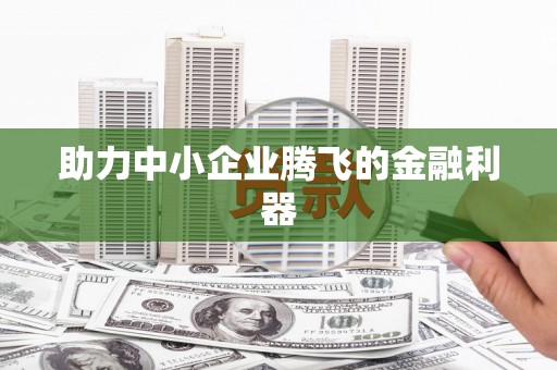 大堂助力中小企业腾飞的金融利器