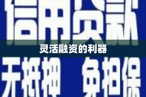 大堂灵活融资的利器