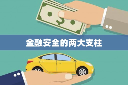 大堂金融安全的两大支柱