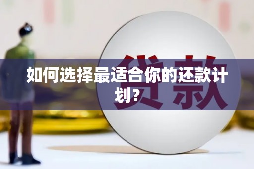 大堂如何选择最适合你的还款计划？