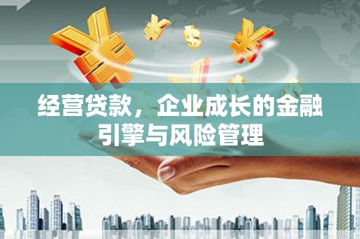 大堂经营贷款，企业成长的金融引擎与风险管理