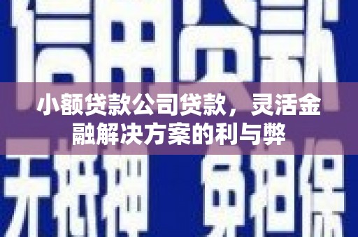大堂小额贷款公司贷款，灵活金融解决方案的利与弊