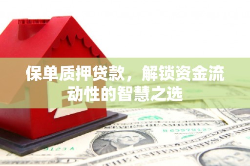 大堂保单质押贷款，解锁资金流动性的智慧之选